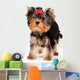 Puppy of the terrier in studio Wall Decal