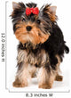 Puppy of the terrier in studio Wall Decal