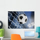 Soccer Ball Wall Mural