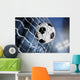 Soccer Ball Wall Mural