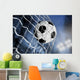 Soccer Ball Wall Mural