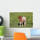 Shetlandpony Wall Mural