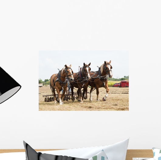 Horse-Drawn Farming Demonstrations Wall Mural
