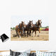 Horse-Drawn Farming Demonstrations Wall Mural