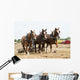 Horse-Drawn Farming Demonstrations Wall Mural