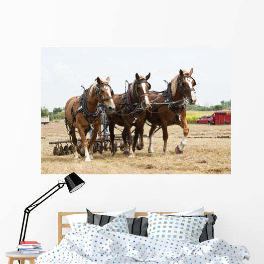 Horse-Drawn Farming Demonstrations Wall Mural