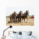 Horse-Drawn Farming Demonstrations Wall Mural