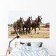 Horse-Drawn Farming Demonstrations Wall Mural