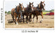 Horse-Drawn Farming Demonstrations Wall Mural
