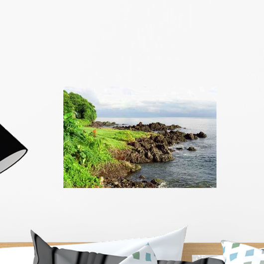 Drake Bay Coastline Wall Decal