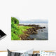 Drake Bay Coastline Wall Decal