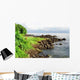 Drake Bay Coastline Wall Decal