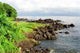 Drake Bay Coastline Wall Decal