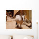 Sacred Cow Wall Decal