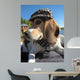 Snobby French Beagle Wall Mural