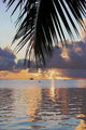 Raiatea Sun Set Wall Decal Design 2