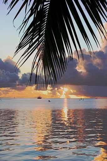 Raiatea Sun Set 2 Wall Mural