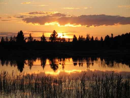 Sunset Pond Wall Decal