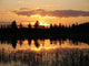 Sunset Pond Wall Decal