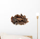 Traditional Sun Dried South Wall Decal