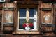 Blumenfenster