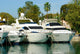 des yatch Wall Mural