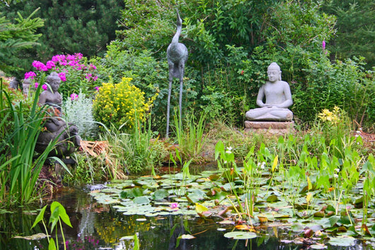 Peaceful Garden Pond Wall Mural