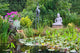 Peaceful Garden Pond Wall Mural