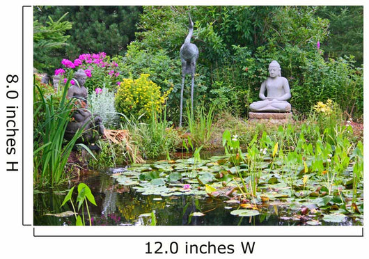 Peaceful Garden Pond Wall Mural