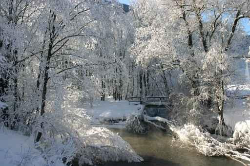 Winter im Auwald Wall Decal Design 2