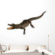 Little Crocodile White Wall Decal