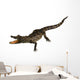 Little Crocodile White Wall Decal