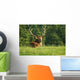 Deer Wall Decal