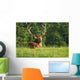 Deer Wall Decal