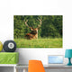 Deer Wall Decal