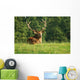 Deer Wall Decal