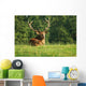 Deer Wall Decal