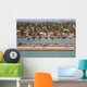 Miami City Landscape Wall Decal