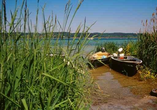 Bodensee-reichenau Wall Decal