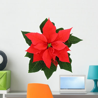 Poinsettia Wall Decal shown on a wall