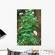 Potato field Wall Mural