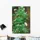 Potato field Wall Mural