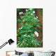 Potato field Wall Mural