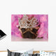 Adorable Pug Dressed up as a Princess Wall Mural