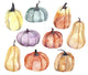 Watercolor Pumpkins Wall Decal
