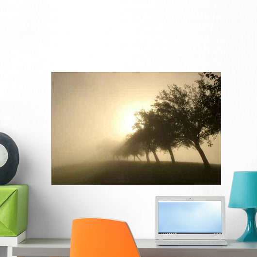Strahlen Wall Decal