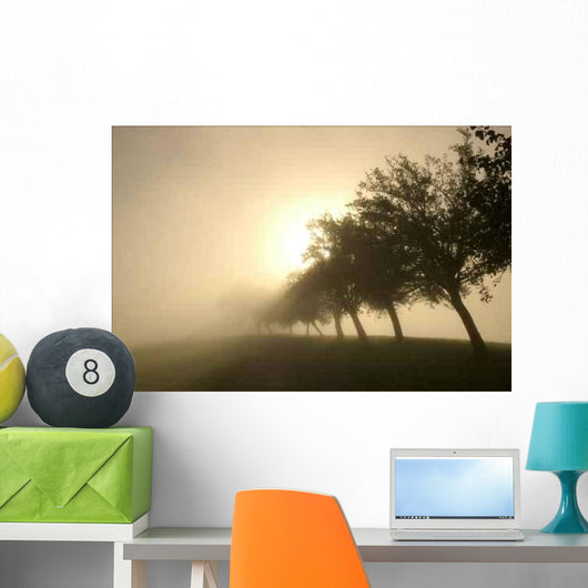 Strahlen Wall Decal