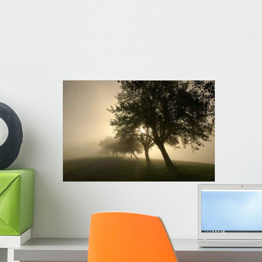 Rays 3 Wall Decal