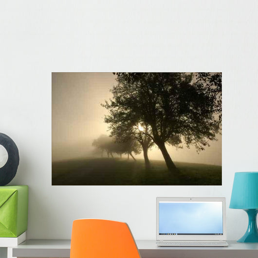Rays 3 Wall Decal
