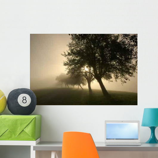 Rays 3 Wall Decal